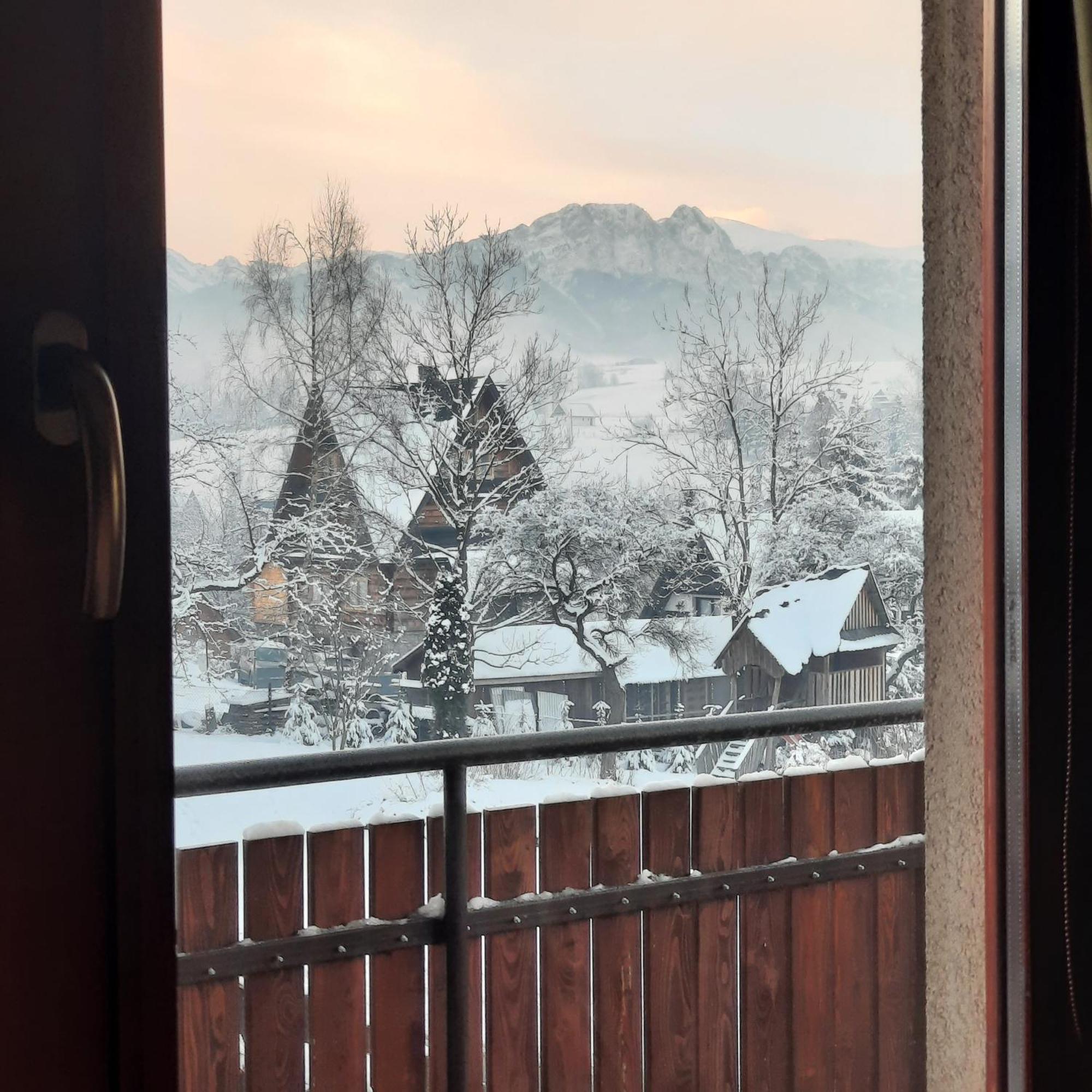 Willa U Bzyka Zakopane Esterno foto