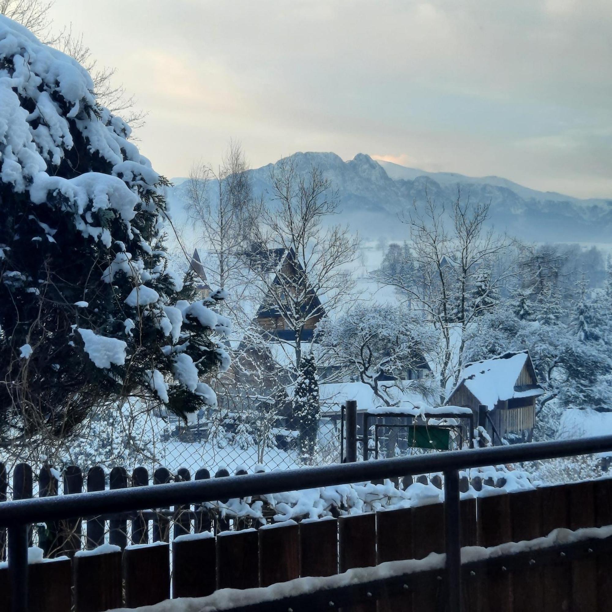 Willa U Bzyka Zakopane Esterno foto