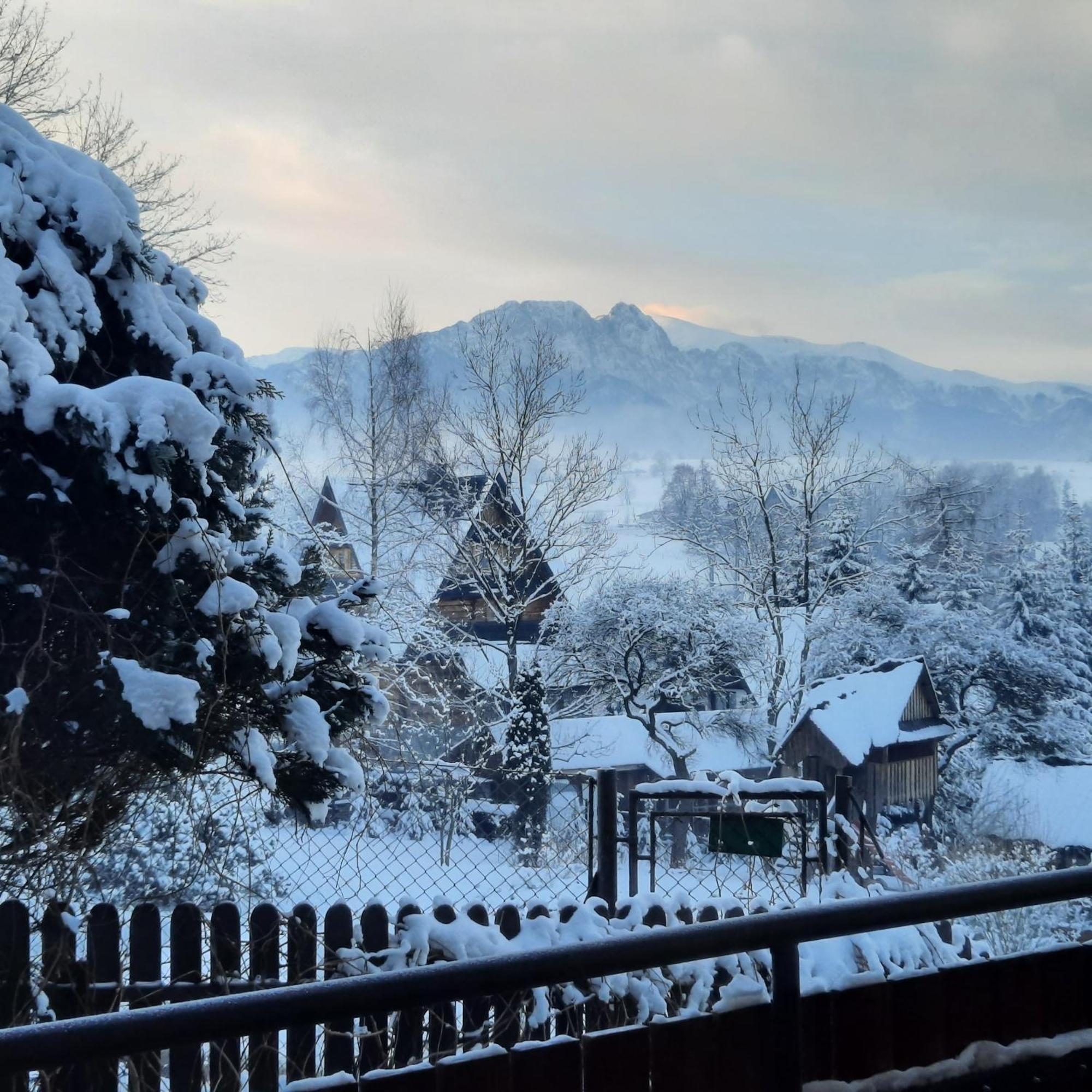 Willa U Bzyka Zakopane Esterno foto