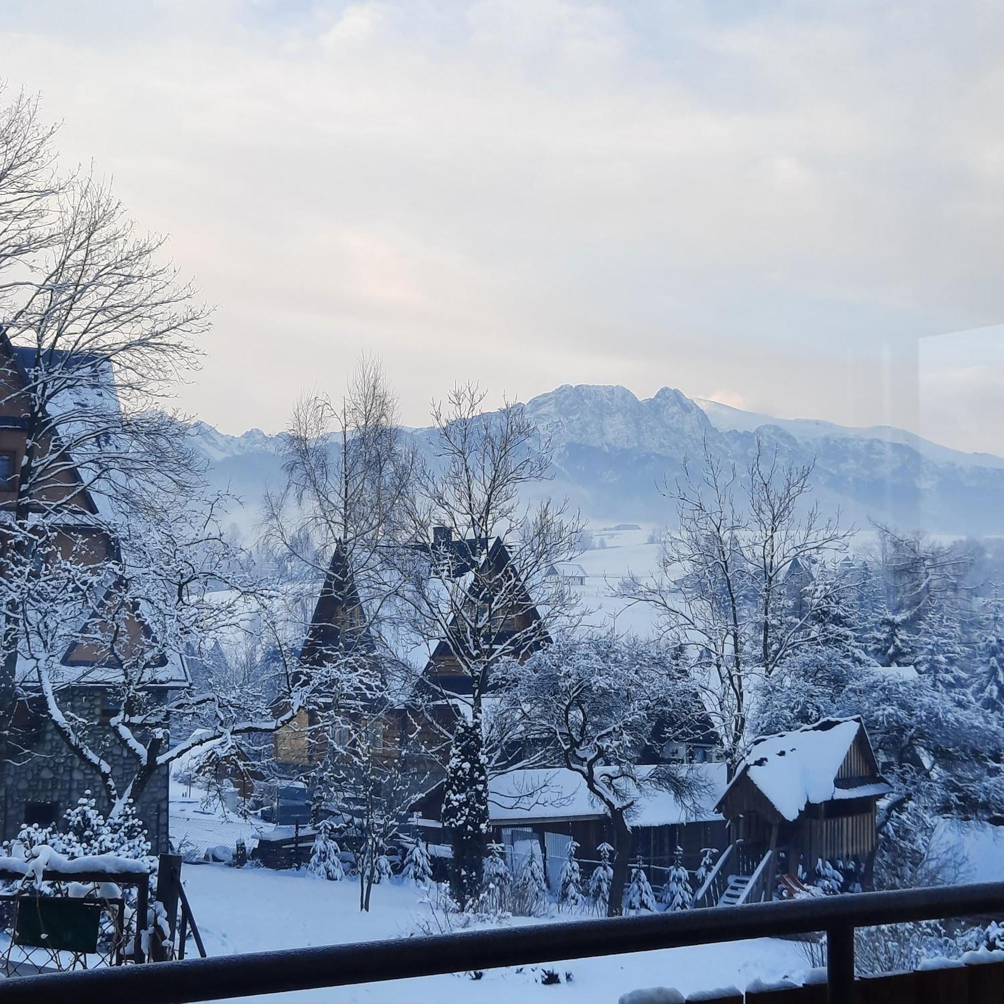 Willa U Bzyka Zakopane Esterno foto